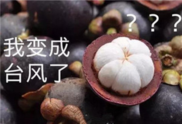 “山竹”還未走遠，但貝朗全自動彎線機已正常上班啦！