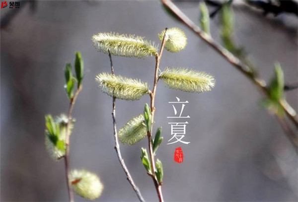 二十四節(jié)氣立夏，那些您不知道的習俗