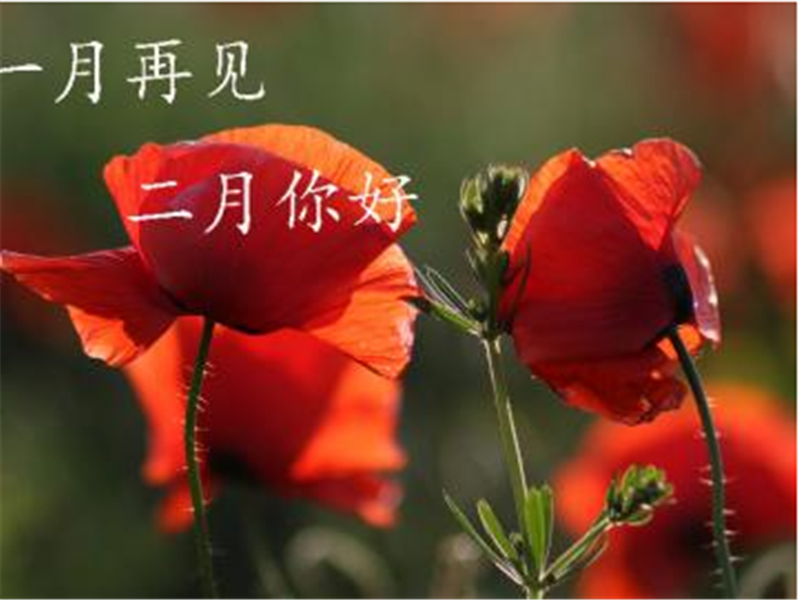 一月再見，美好的二月你好啊