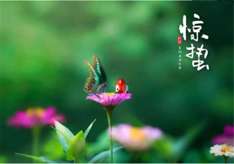 二十四節(jié)氣“驚蜇”都有哪些習(xí)俗？
